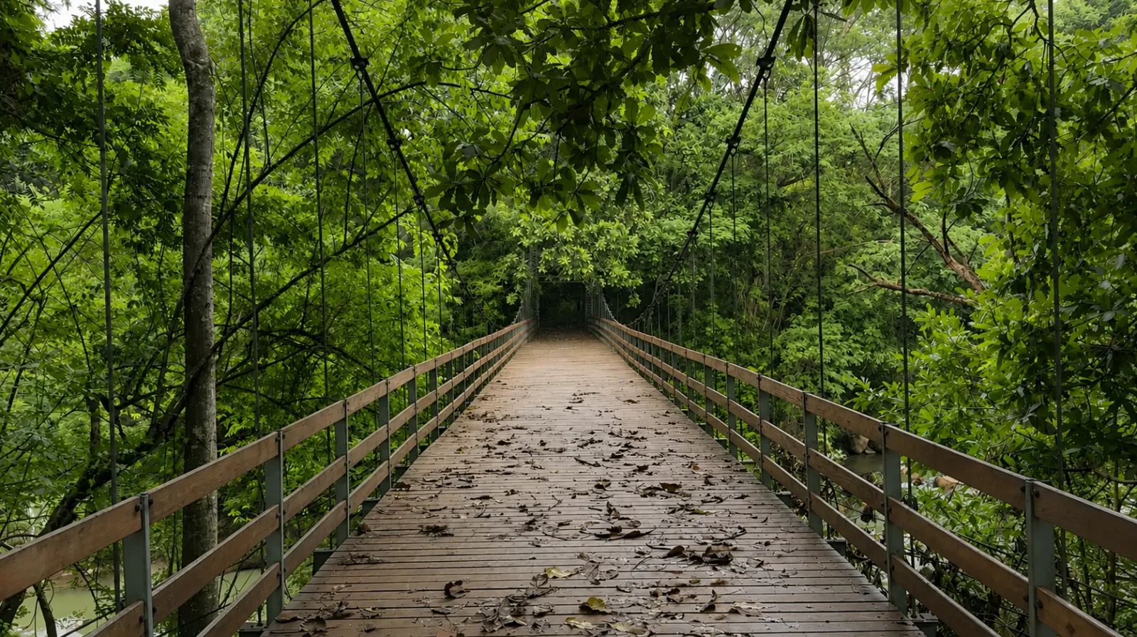 A long suspension bridge surrounded by dense tropical forest at Ecovilla San Mateo.